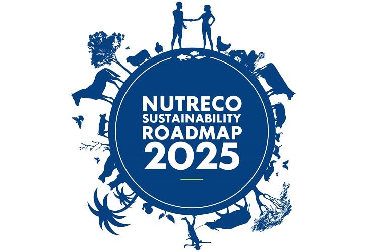 RoadMap 2025