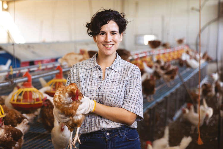 Female farmer holding a layer hen